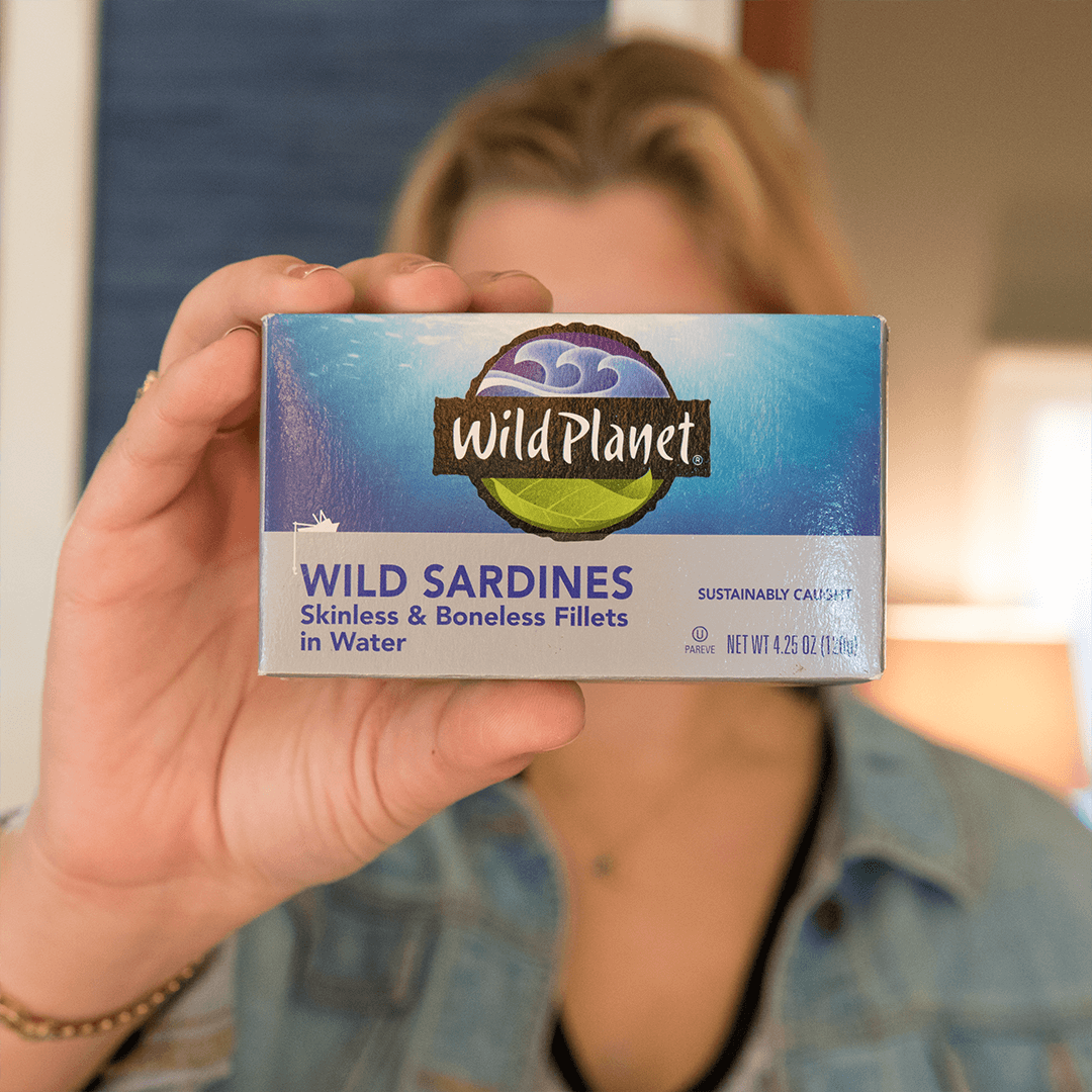 wild sardines in water