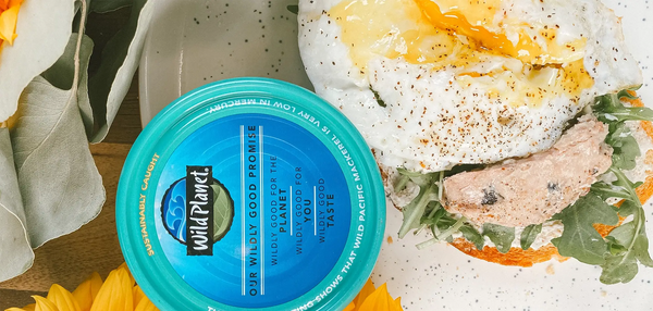 Mackerel Morning Toast