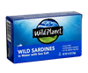 Wild Sardines In Water