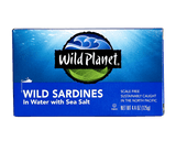 Wild Sardines In Water