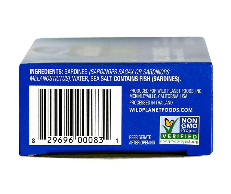 Wild Sardines In Water